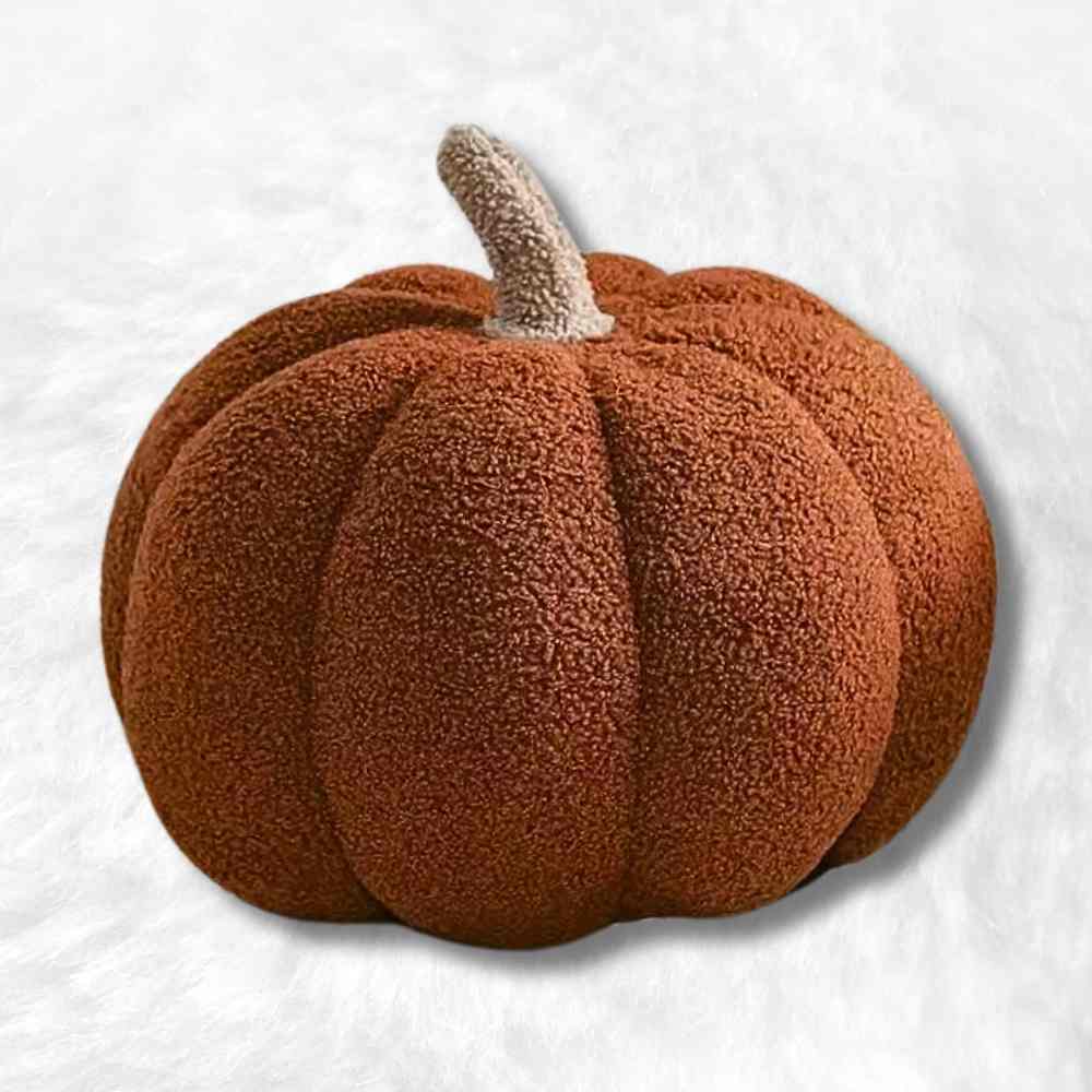 Coussin Citrouille marron