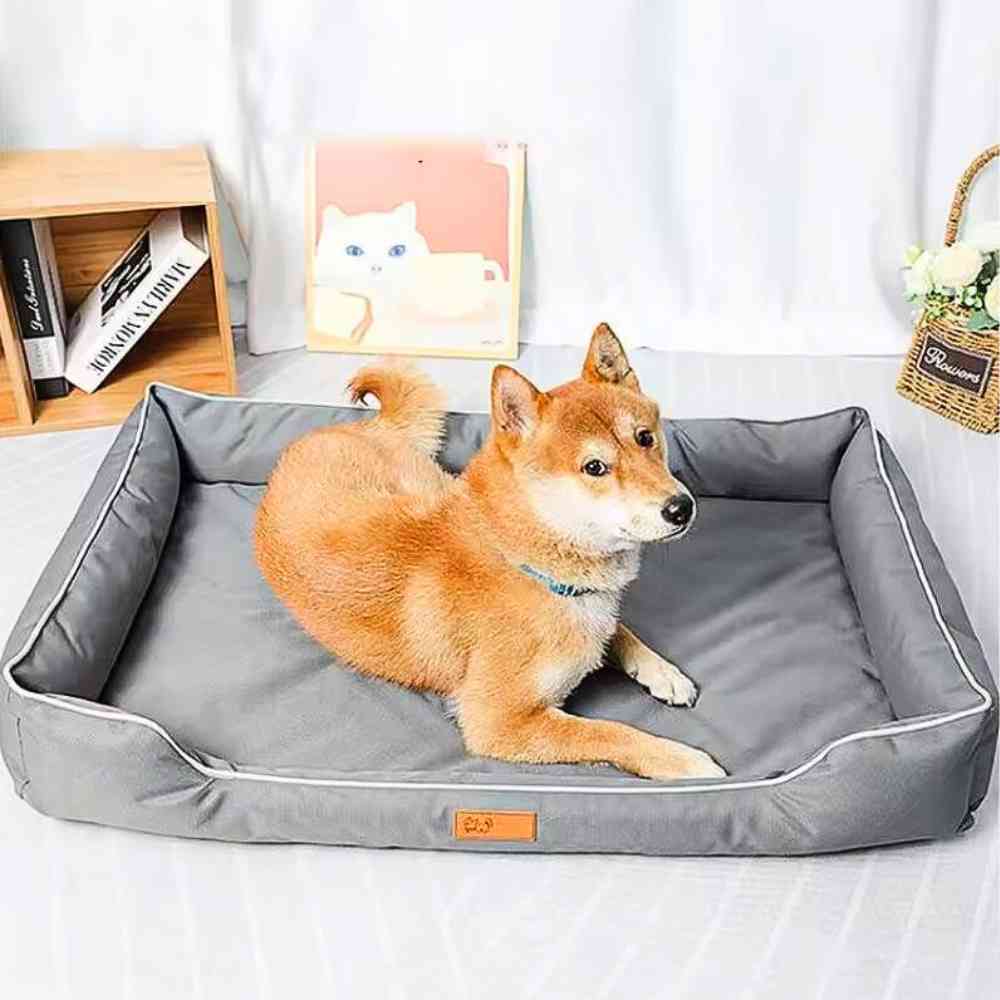 Coussin Imperméable pour Chien gris dans une maison avec un chien