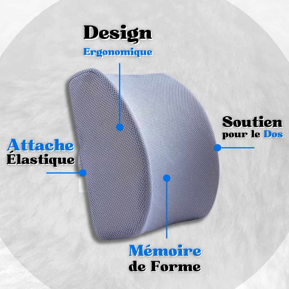 Détails sur le Coussin Lombaire Voiture Gris