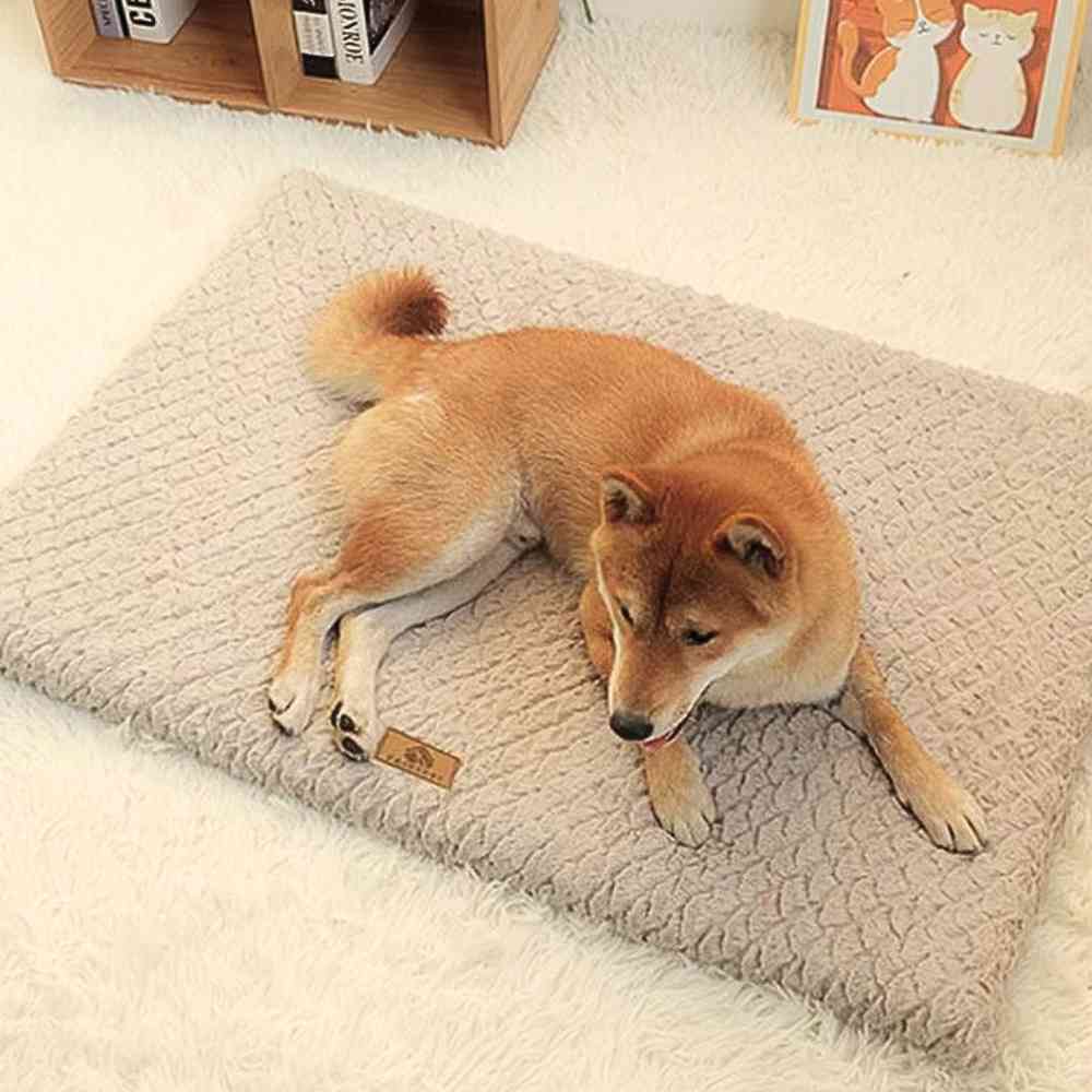 Matelas déhoussable pour Chien beige avec un chien dans un salon