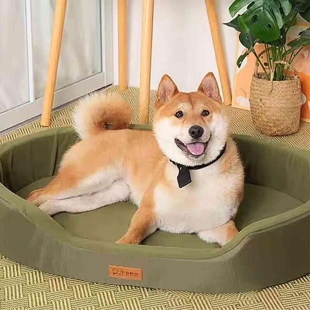 Un chien dans le Panier Imperméable pour Chien vert