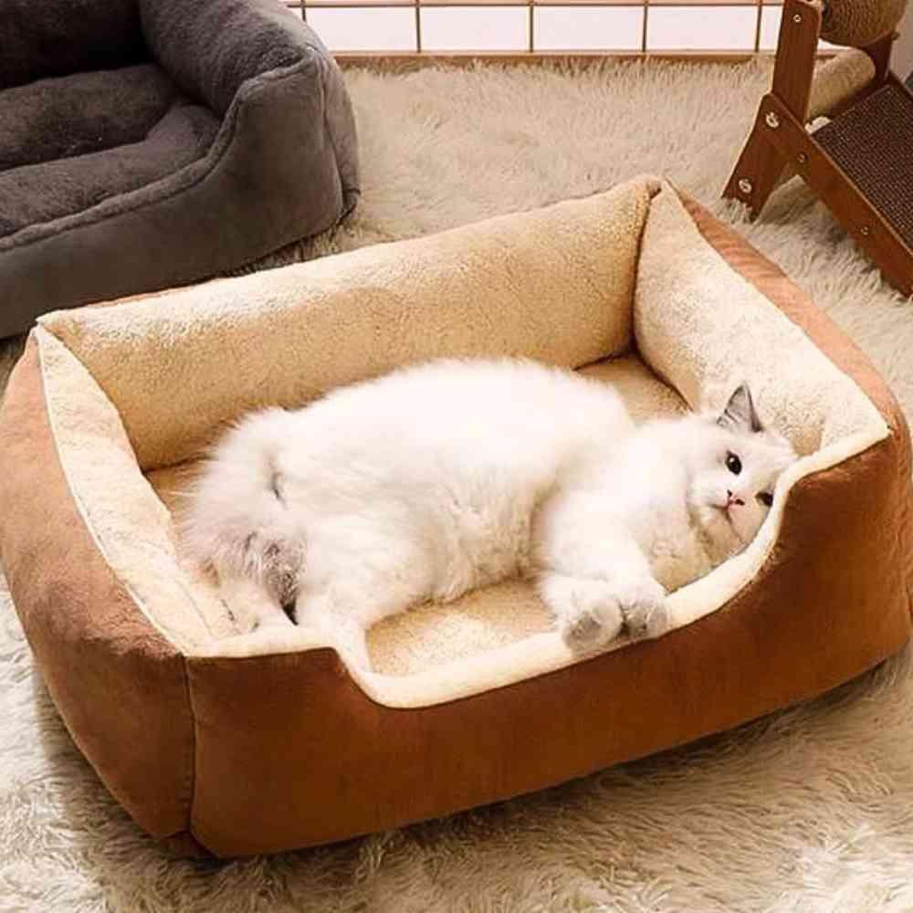 Panier pour Chat marron dans un salon avec un chat