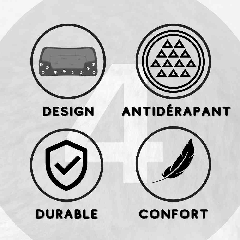 Les détails clés des Paniers pour Chien 