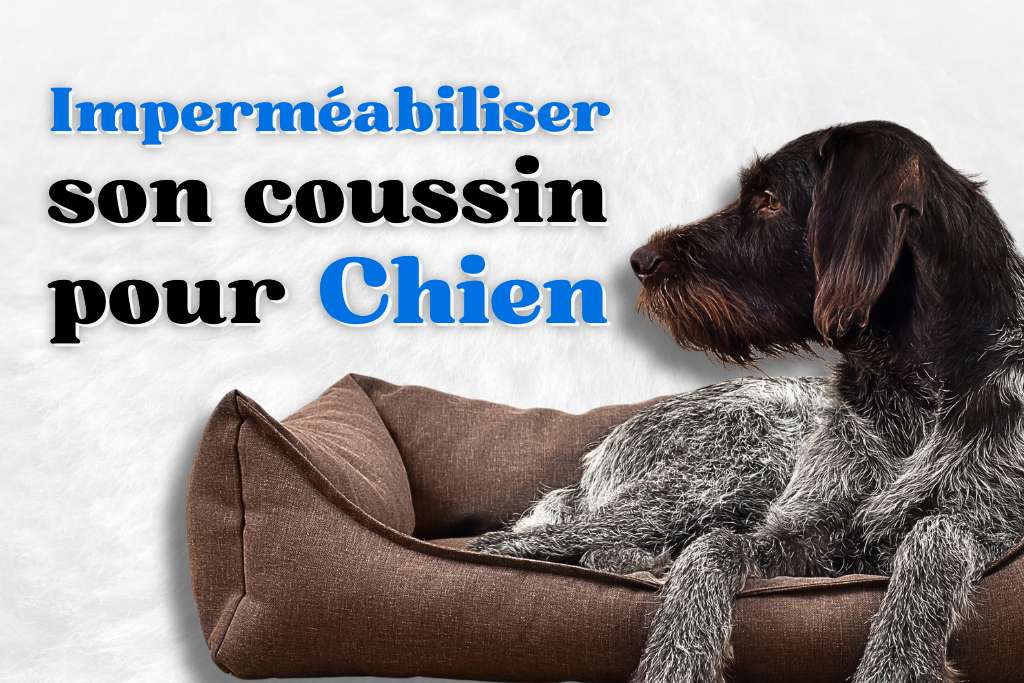 Imperméabiliser un Coussin pour Chien