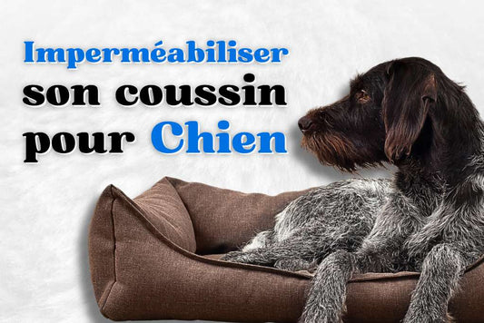 Imperméabiliser un Coussin pour Chien