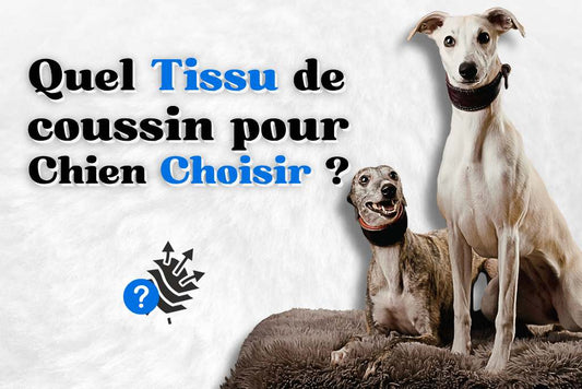 Quel tissu pour coussin chien 