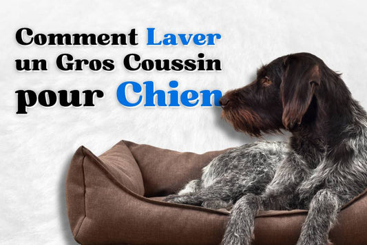 Comment laver un gros coussin pour chien