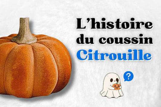 Histoire du coussin citrouille