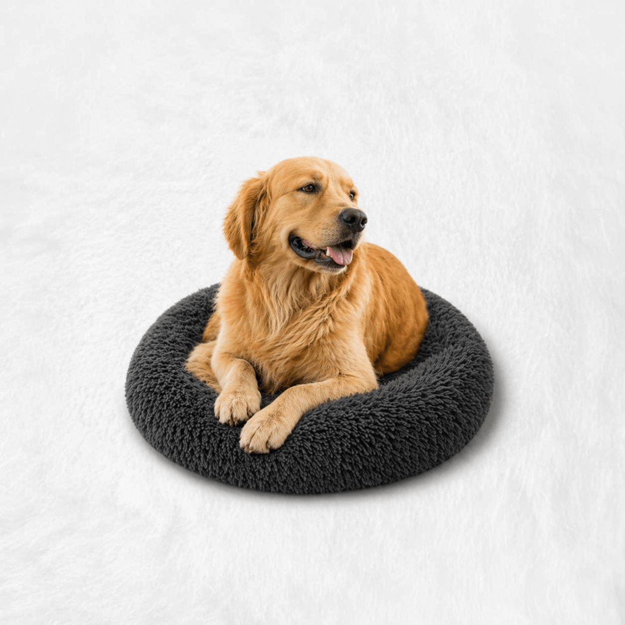 Un chien assis sur le Coussin Anti-stress pour Chien Gris foncé