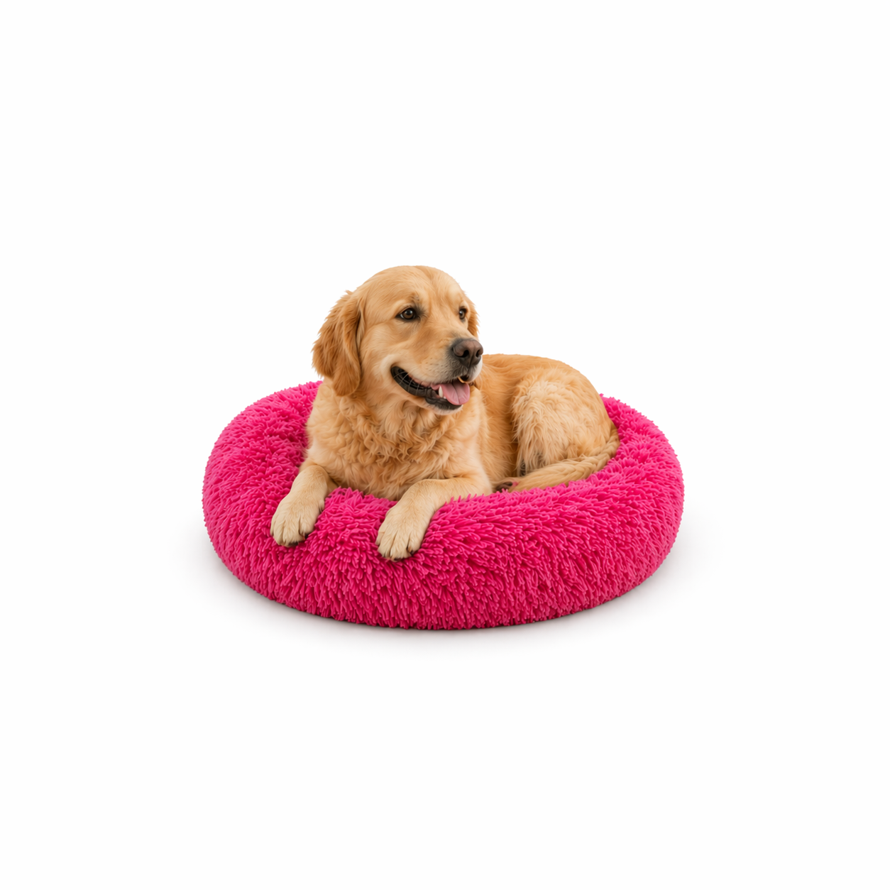 Un chien assis sur le Coussin Anti Stress pour Chien Rose Fushia