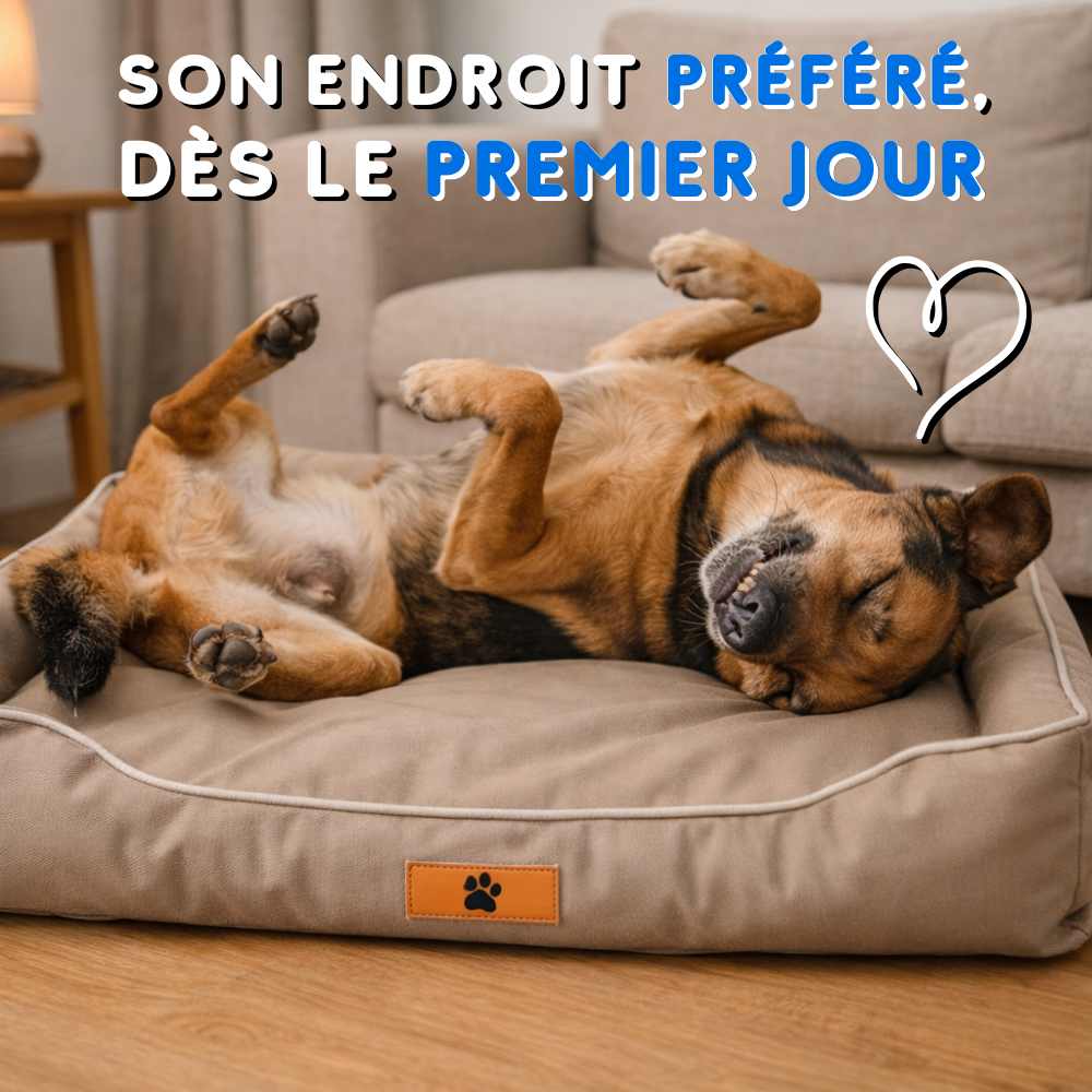 Un chien très heureux avec son Coussin Indestructible pour Chien marron