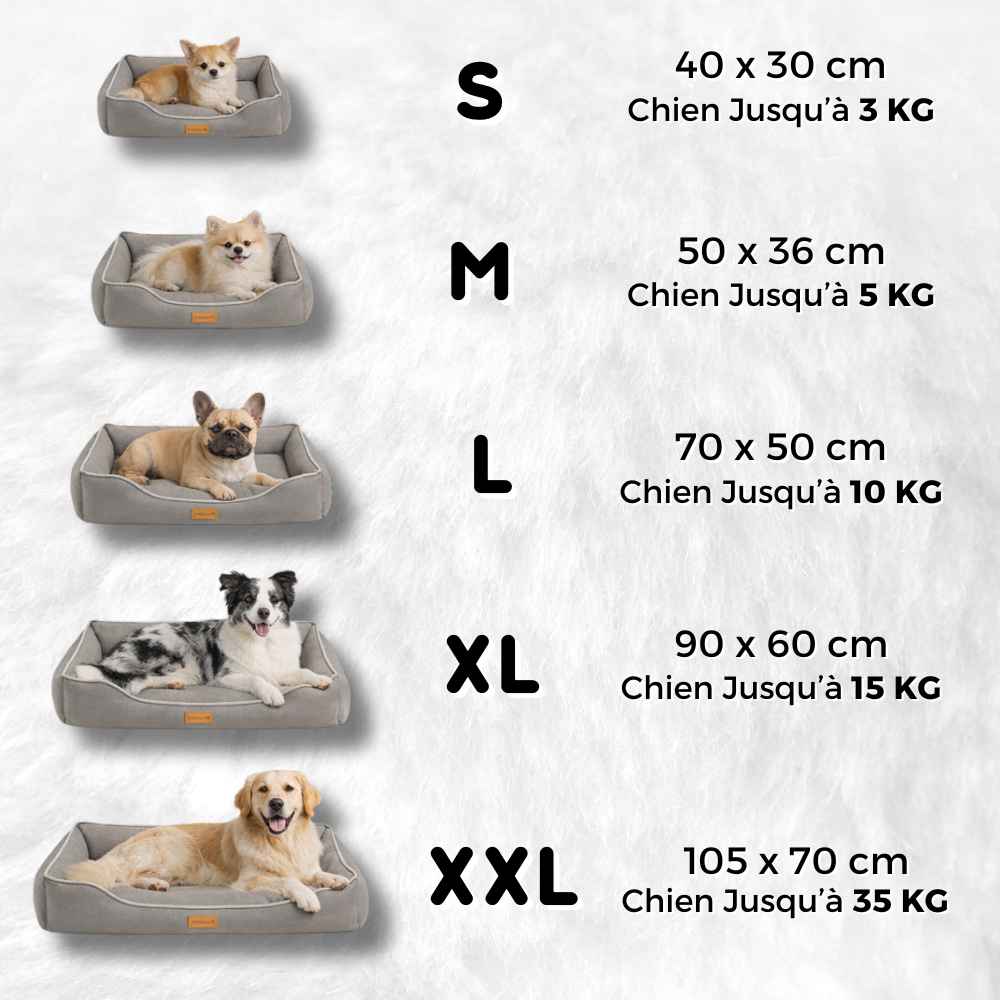 Taille des coussins chien indestructible
