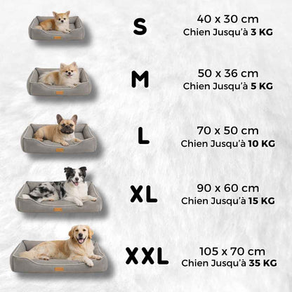 Taille des coussins chien indestructible