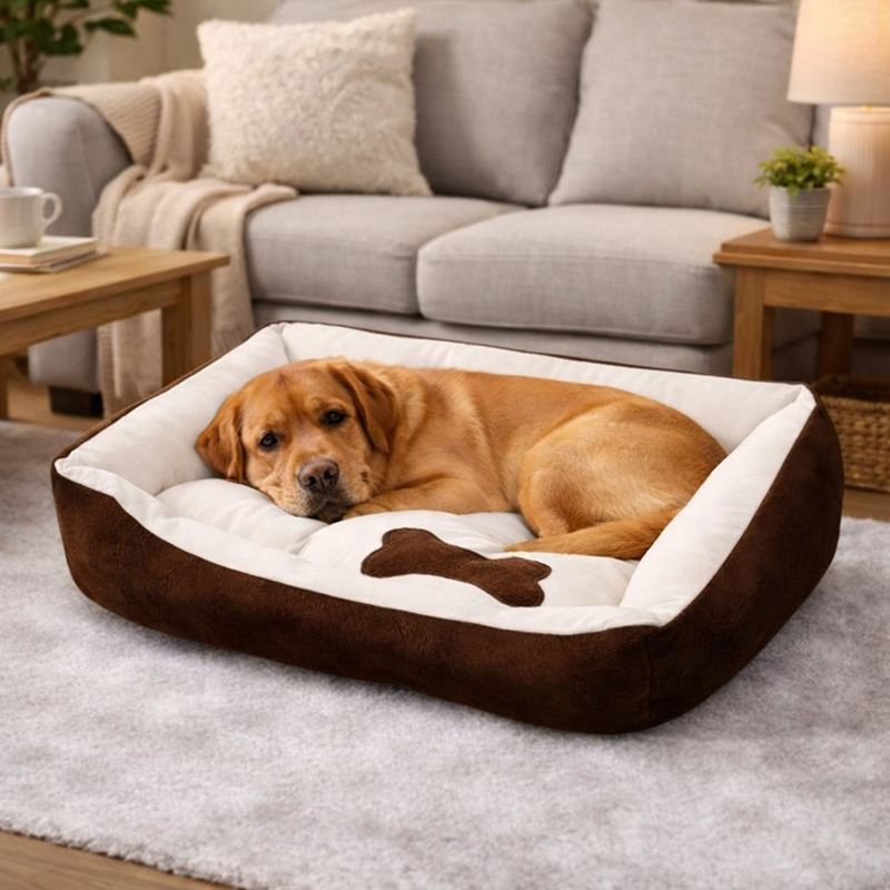 Chien Panier et Coussin pour Chien marron