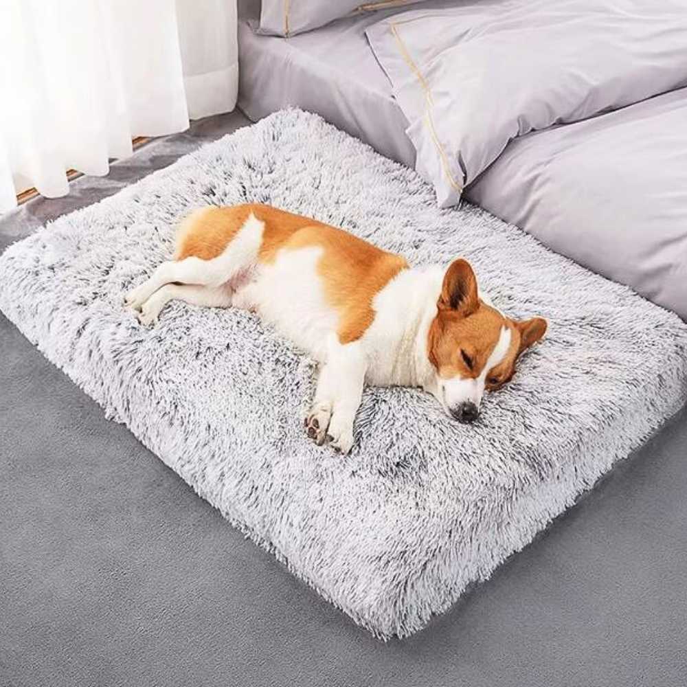 Lit Coussin Déhoussable Gris avec un Chien