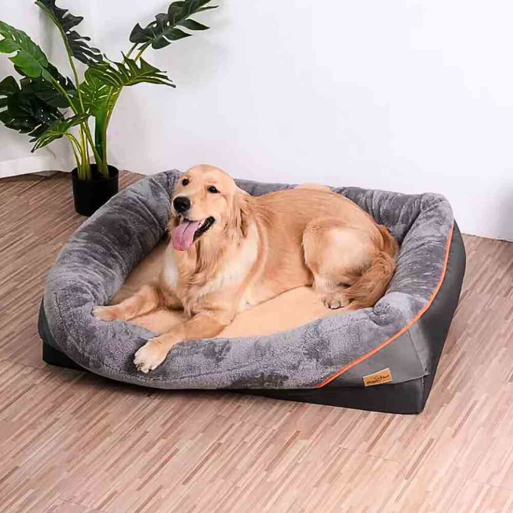Un chien dans le Panier pour Grand Chien​ XXL