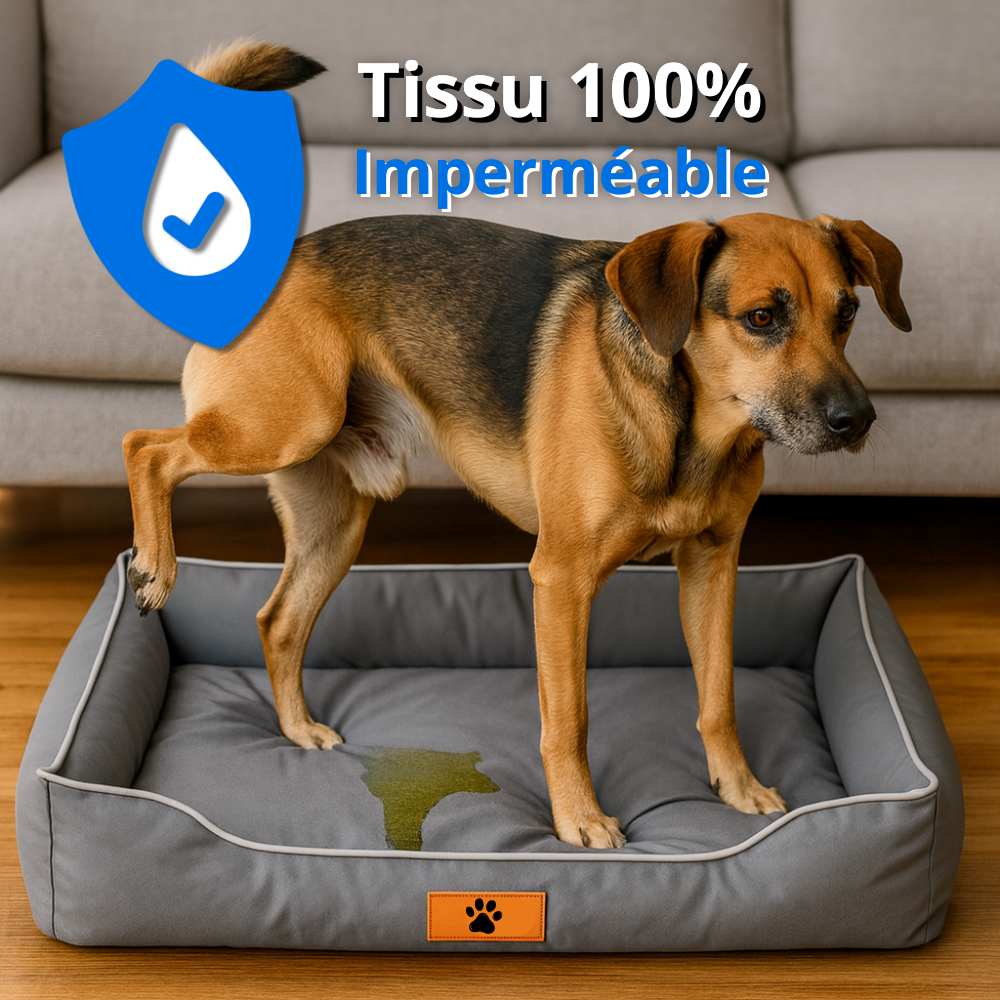 Coussin indestructible et imperméable gris pour chien