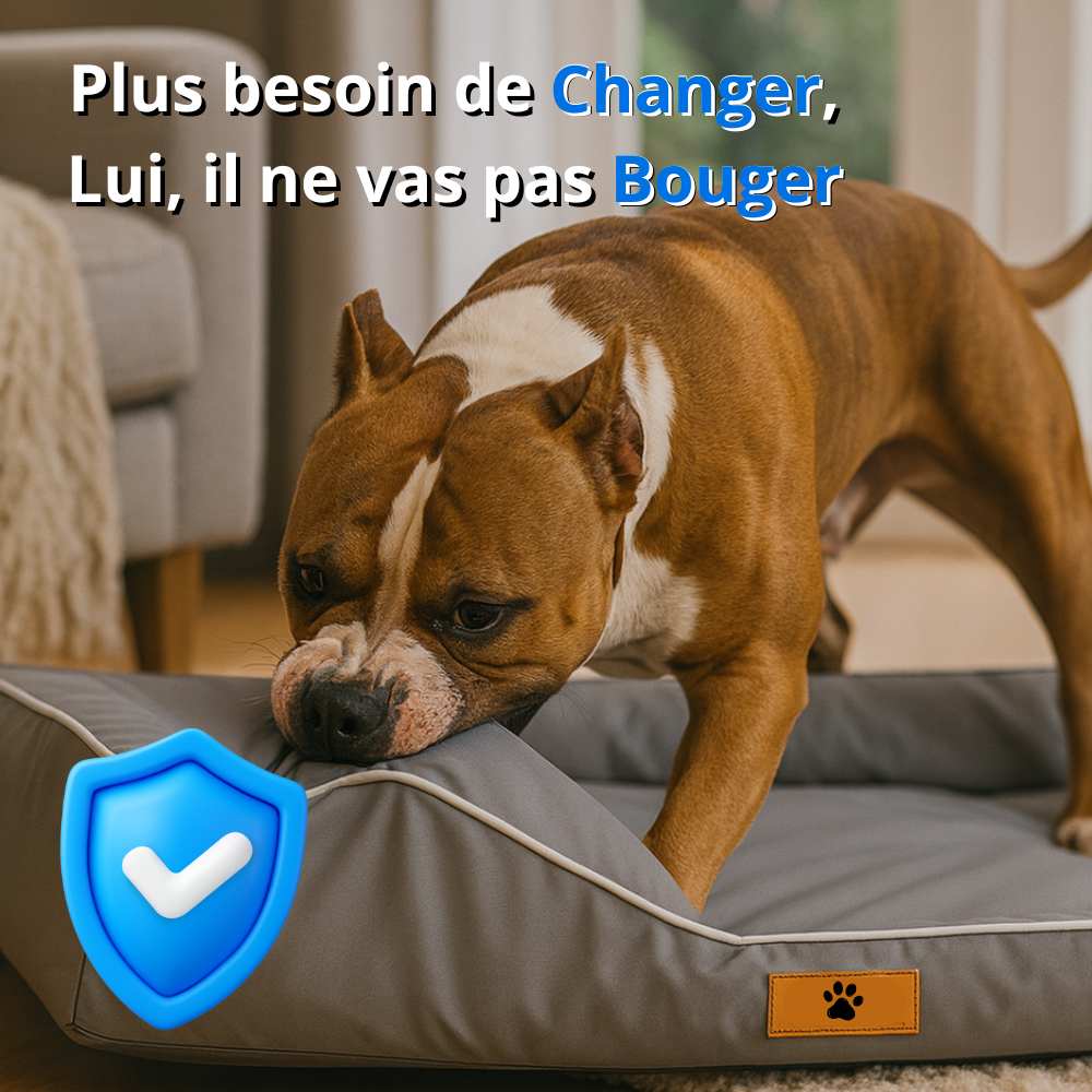 Coussin indestructible pour chien gris