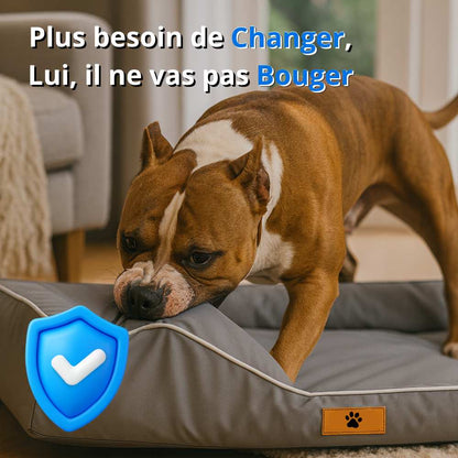 Coussin indestructible pour chien gris