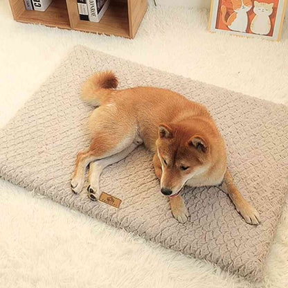 Matelas déhoussable pour Chien​ beige avec un chien dans un salon