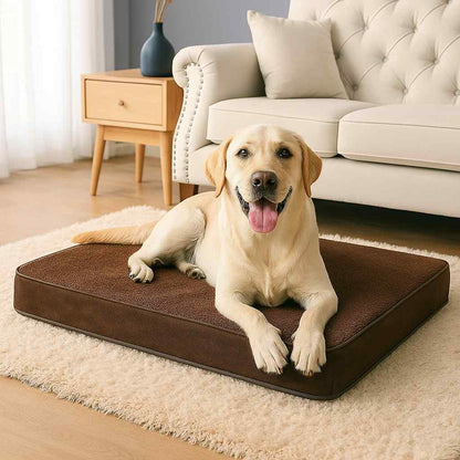 Matelas Mémoire de Forme marron avec un chien