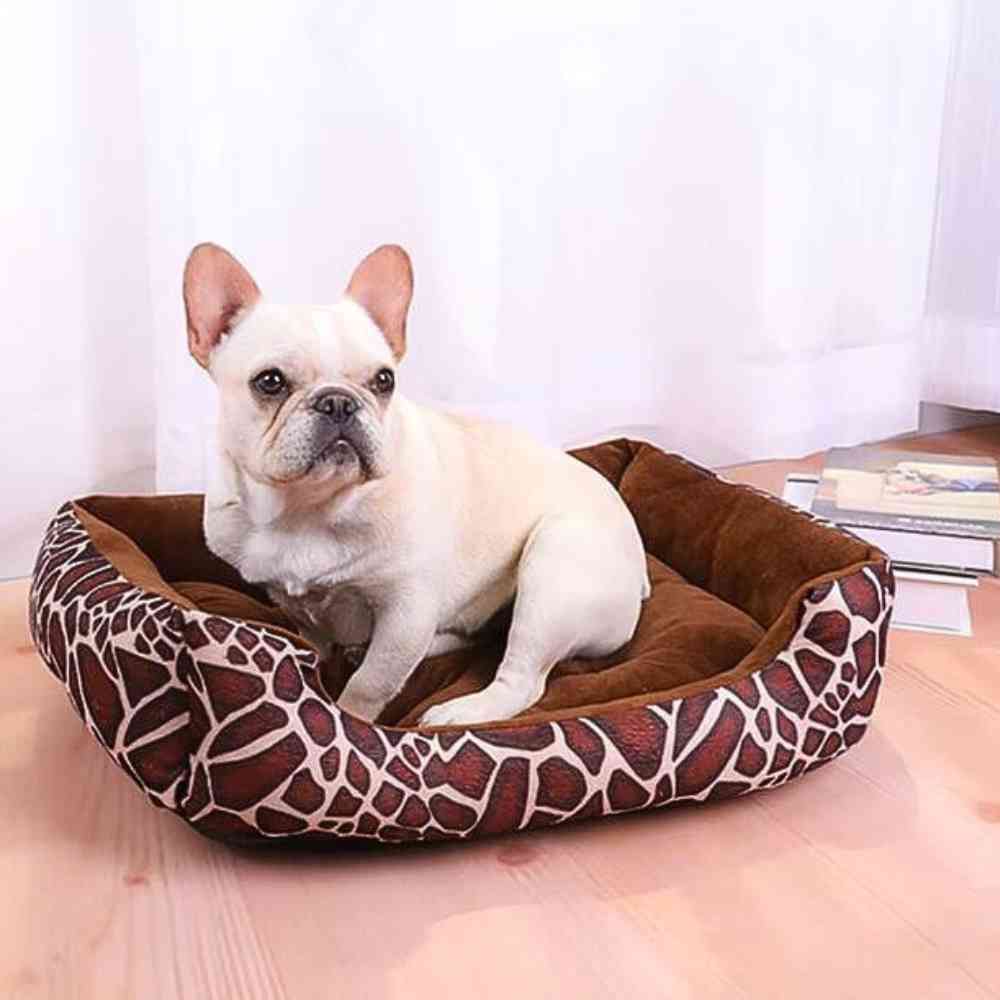 Panier Confort pour Chien marron sans un salon avec un chien