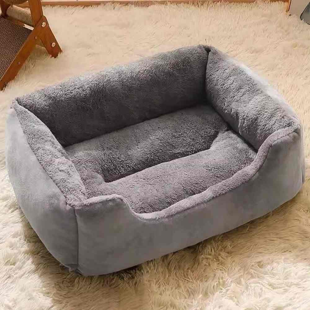 Panier pour Chat gris dans un salon