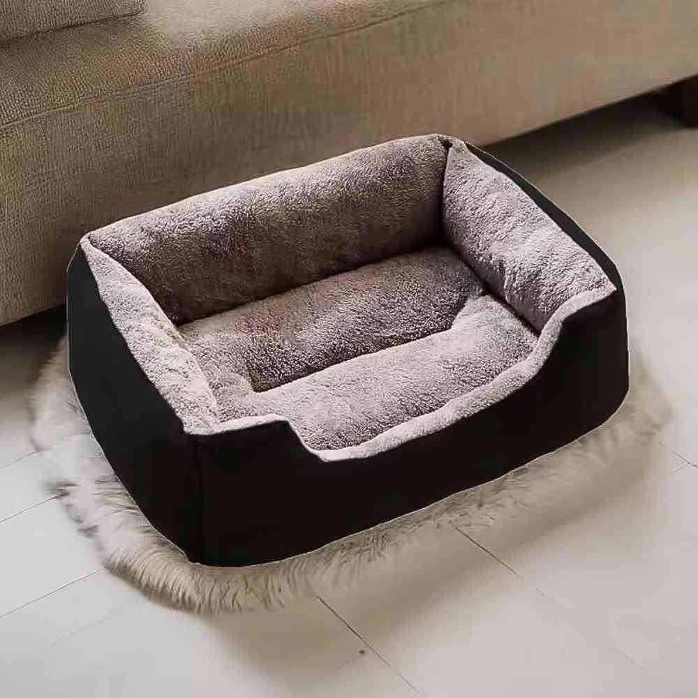 Un Panier pour Chat noir dans le salon d'une maison