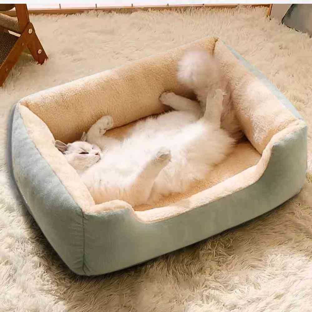 Panier pour Chat vert dans un salon de maison